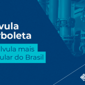 Válvula Borboleta: a válvula mais popular no Brasil