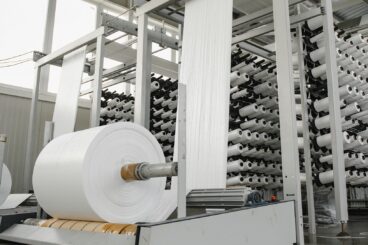 Papel e Celulose